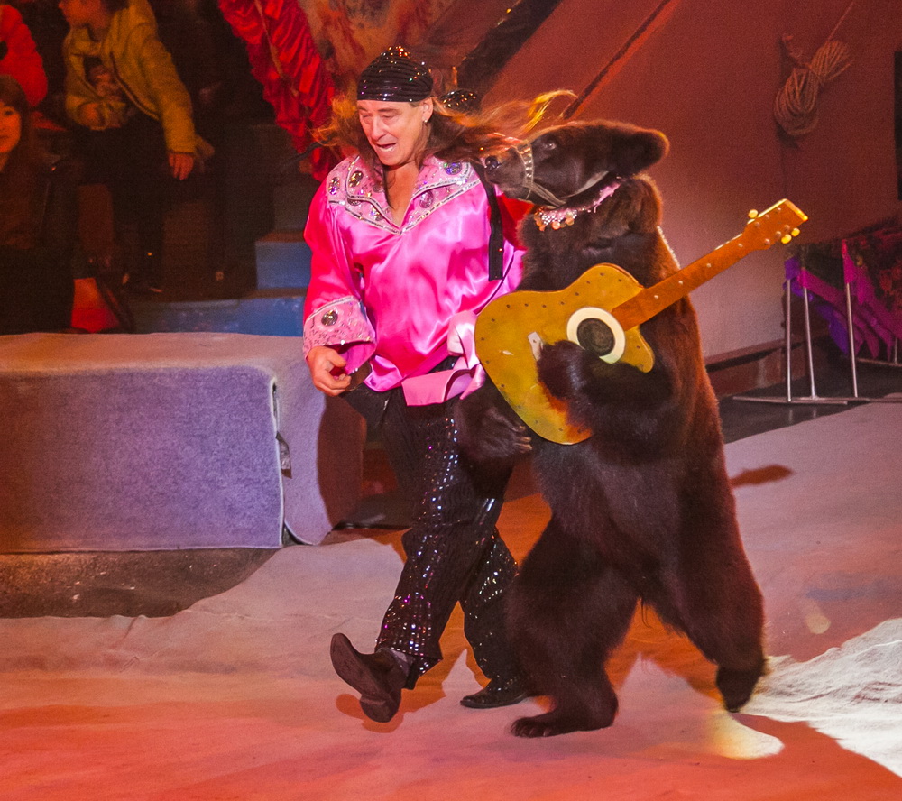 Афиша Запорожского цирка