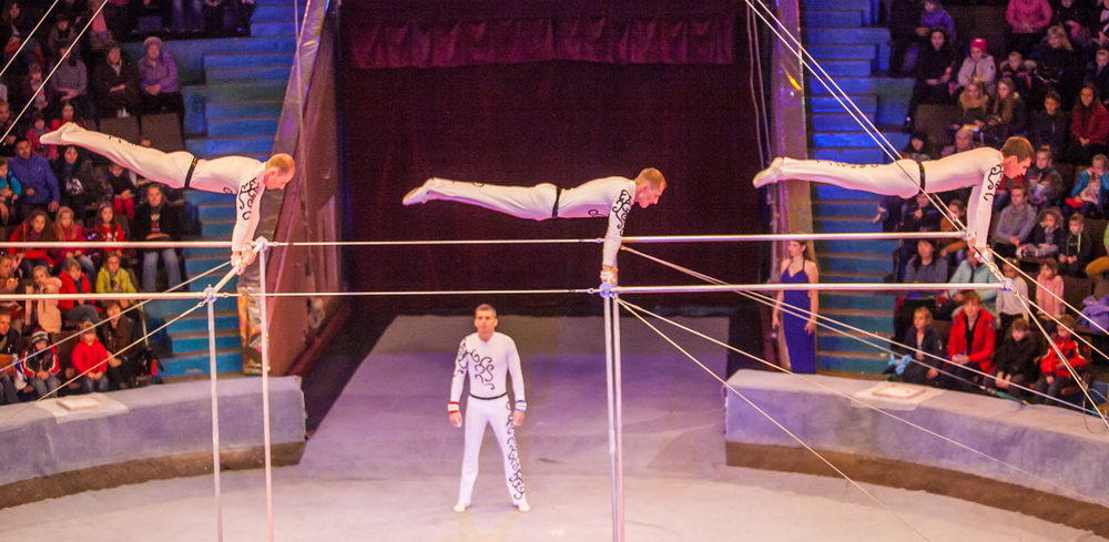 Афиша Запорожского цирка