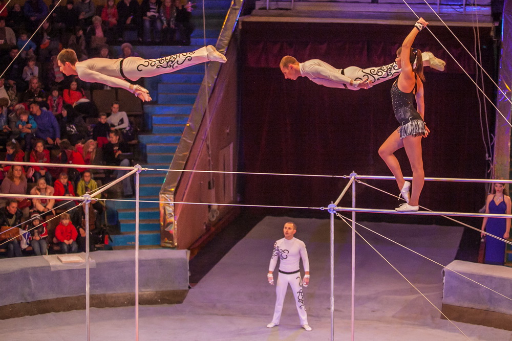 Афиша Запорожского цирка