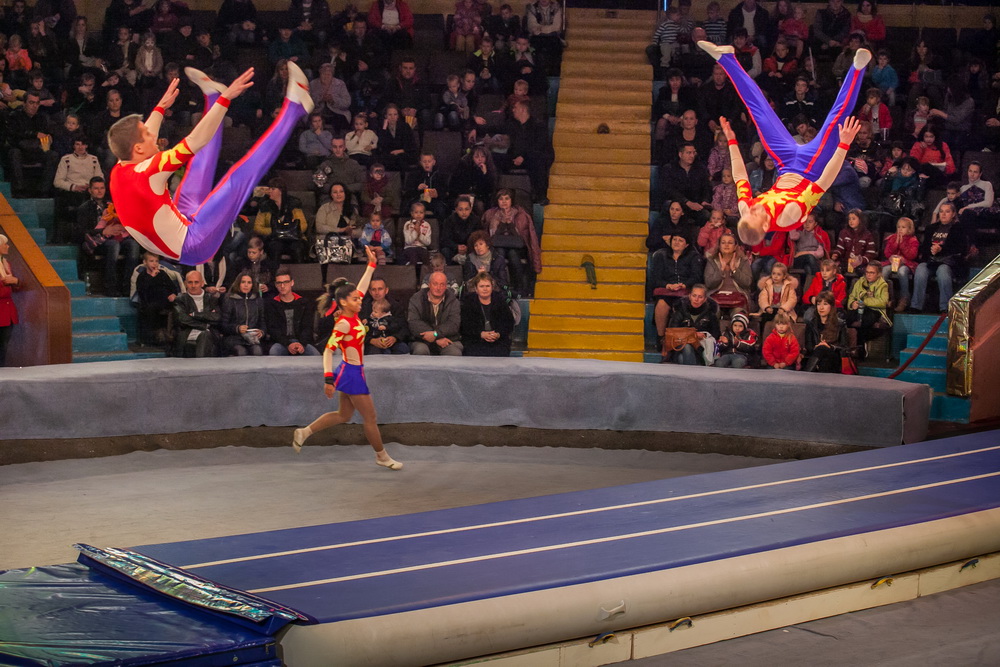 Афиша Запорожского цирка