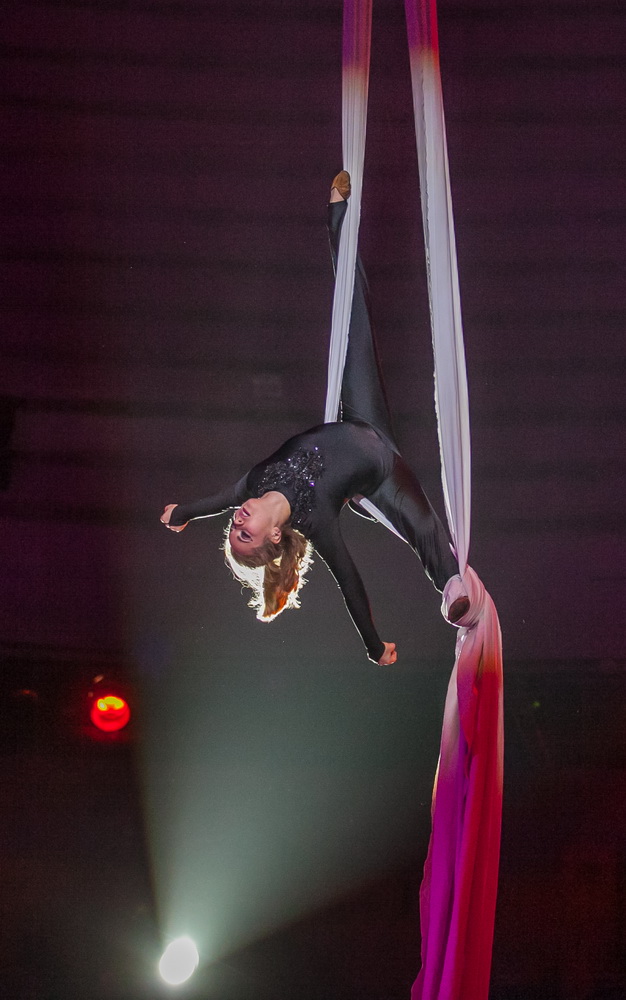 Афиша Запорожского цирка